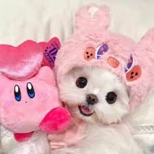 Ahad Raza Mir avatar